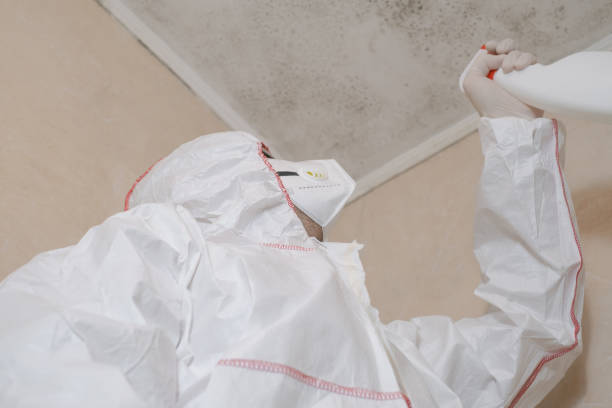 Best Residential Mold Removal  in Cayuga Heights, NY